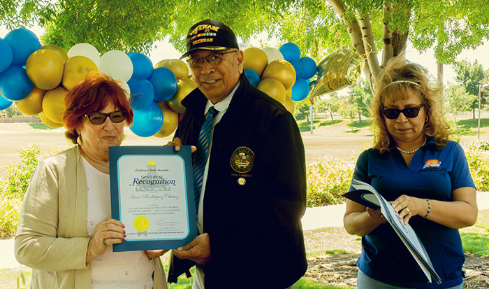 Vestibulum facilisis purus